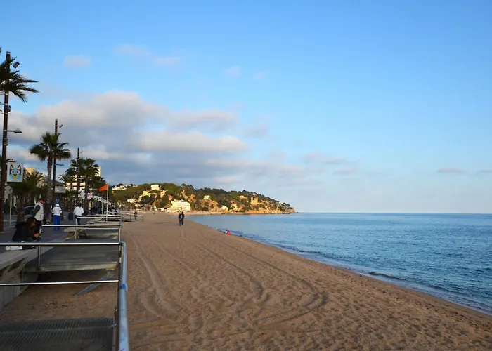 Sofia A 2 Kms De Lloret De Mar ヴィドレレス